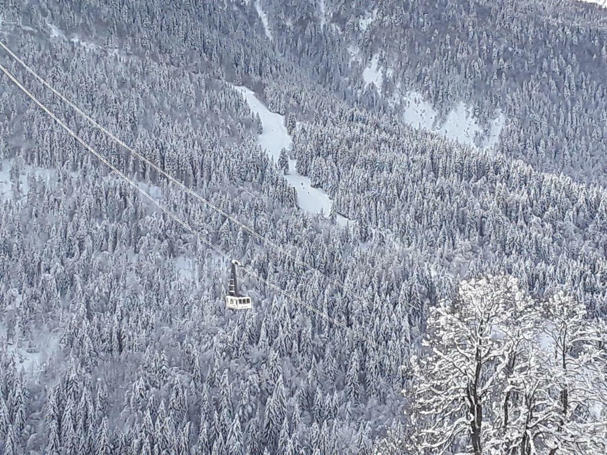 L'Aigle Royal Apartman Vaujany Kültér fotó